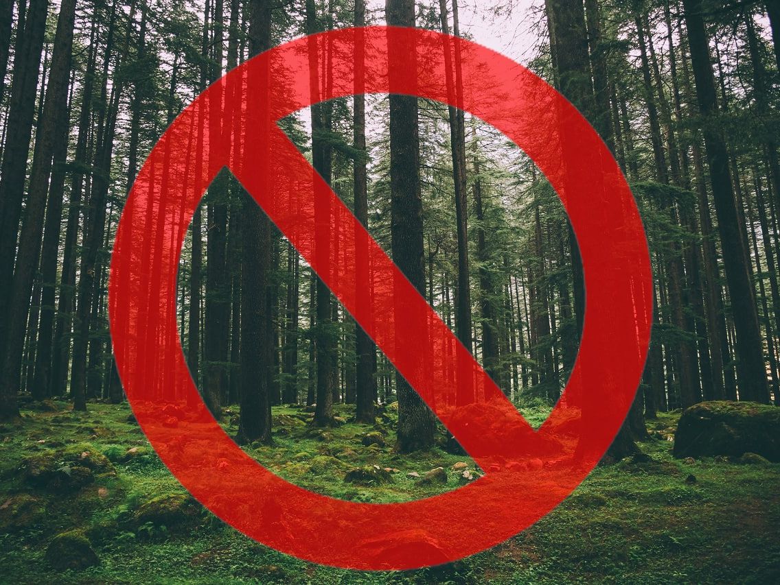 На Львівщині на період війни заборонили відвідувати ліси