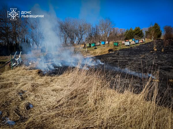 На Львівщині під час пожежі сухої трави ледь не загинула 68-річна жінка (фото)
