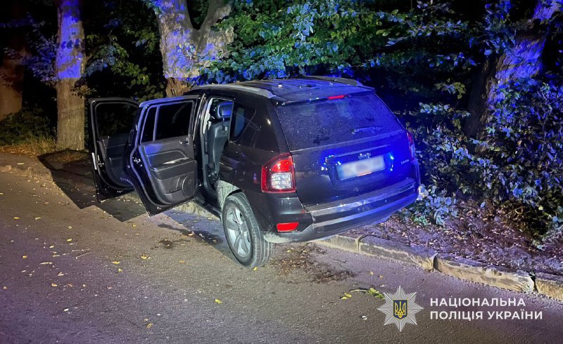 Збила шлагбаум і врізалася у дерево: у Брюховичах п'яна водійка вчинила аварію (фото)