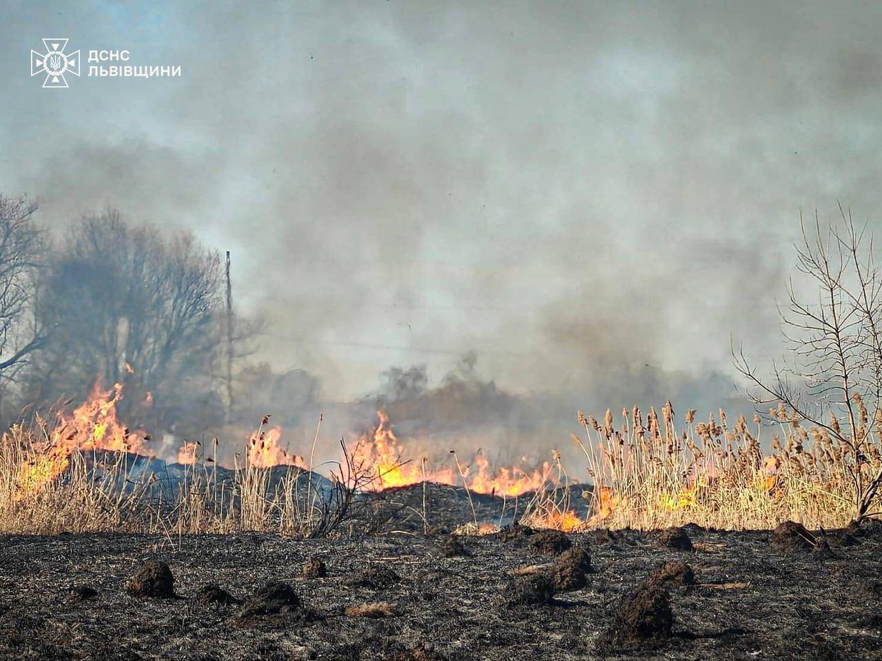 Весна з вогнем: на Львівщині за добу вигоріло пів гектара сухої трави
