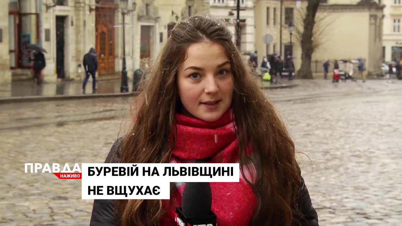 Десятки обвалених дерев, зірвані дахи та обірвані лінії електропередач: на Львівщині лютує негода