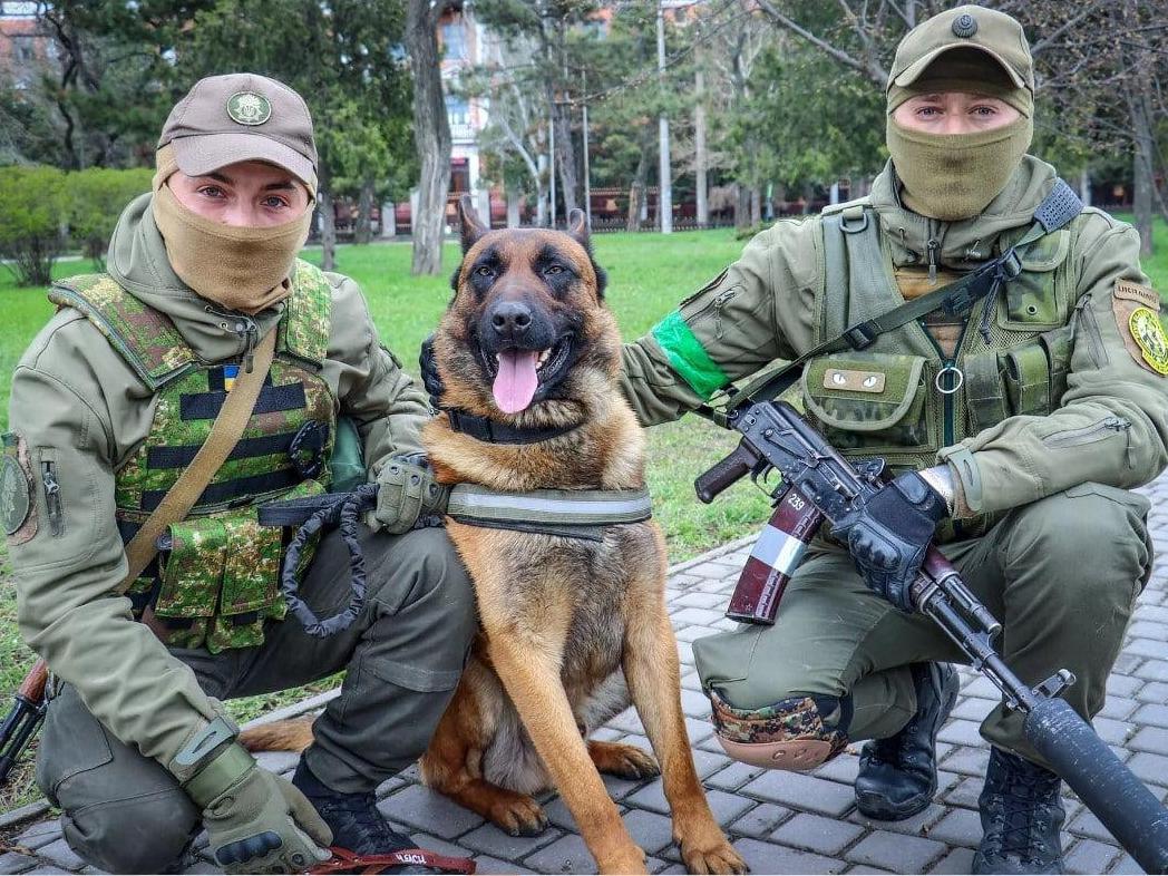 Покинули після поразки. Пес з Росгвардії вивчив команди українською та служитиме в Нацгвардії