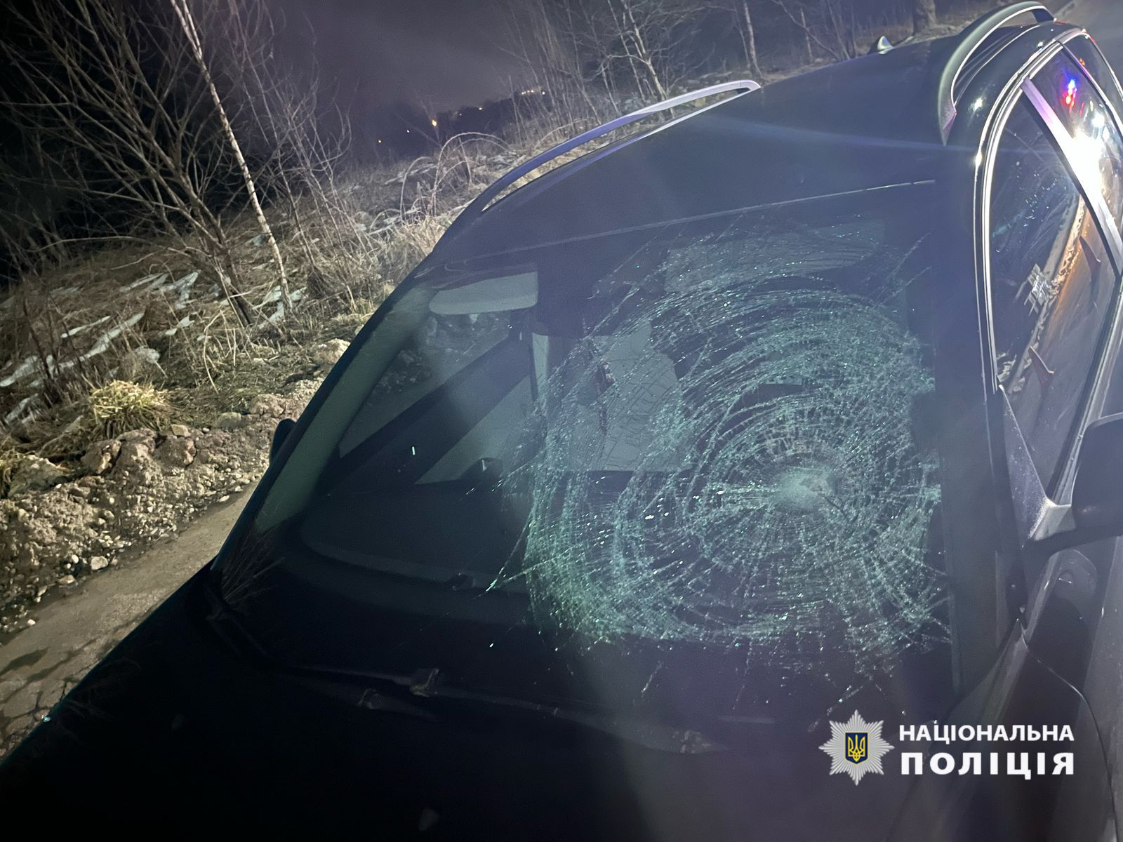 На Львівщині пішохід опинився під колесами авто