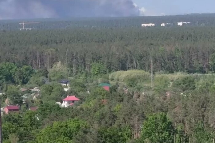 У Києві може погіршитися повітря через масштабну пожежу