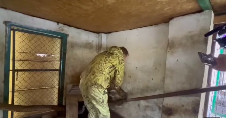 Упирався всіма лапами. Із зоопарку Херсона російський командир поцупив єнота. Відео