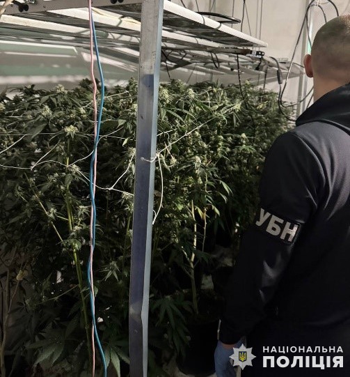 Три мільйони прибутку щомісяця: на Львівщині викрили наркоугруповання та лабораторію