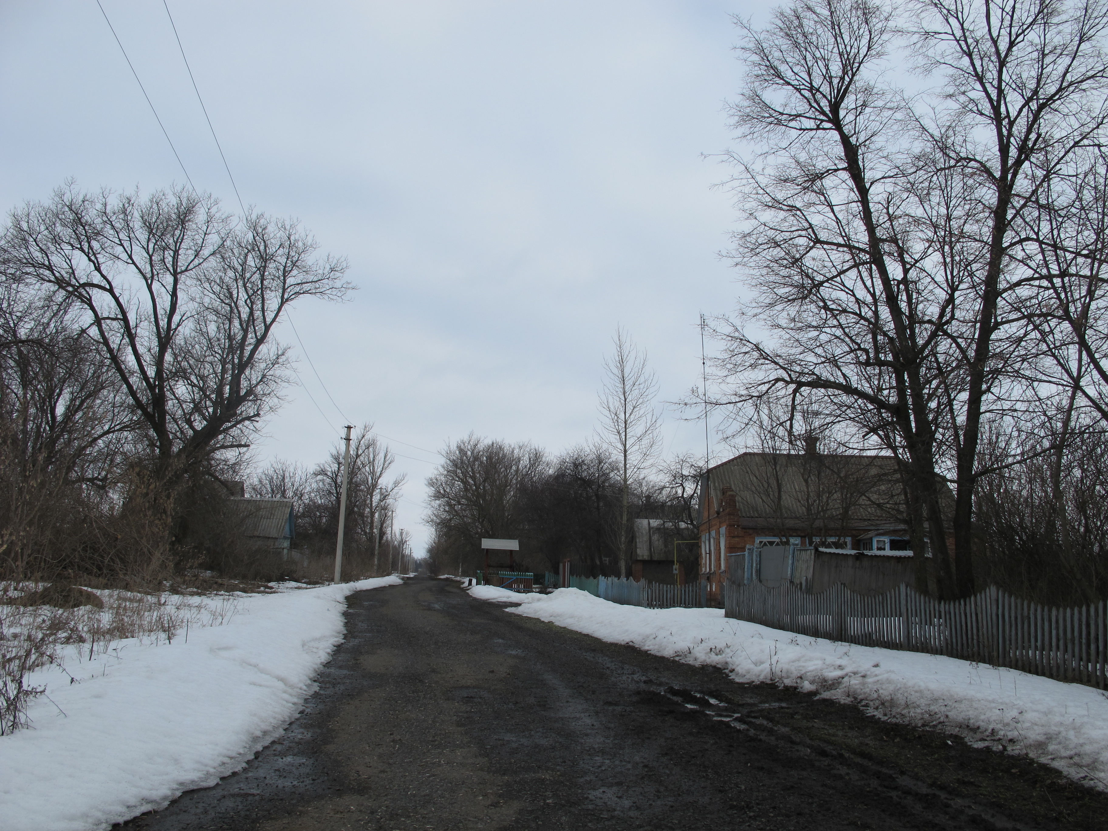 На Сумщині окупанти виганяють селян із домівок і мародерять