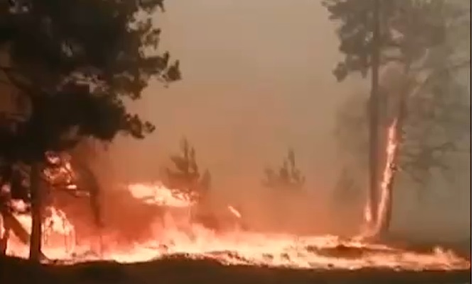 На Свердловщині горять склади з порохом. Відео