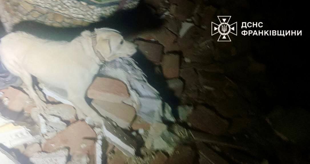На Прикарпатті пролунав вибух: офіційна заява (фото)