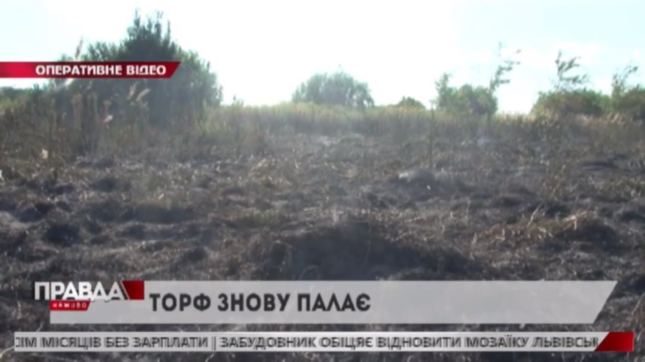 Львівщину охопила пожежа: усі деталі