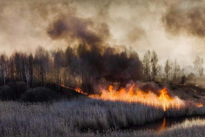 У Чорнобильській зоні виявлено сім осередків займання