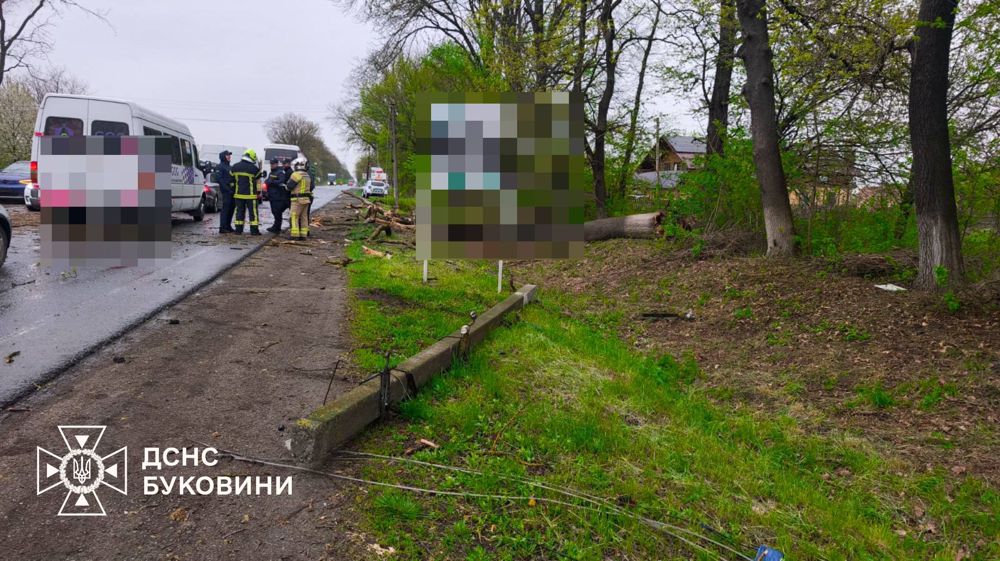 На Буковині дерево заблокувало автобус із дітьми