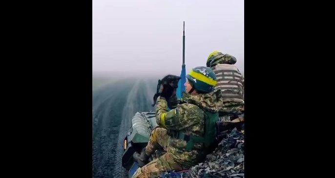 Ще один хвостатий талісман для ЗСУ. Відео дня про маленького знайду на дорозі