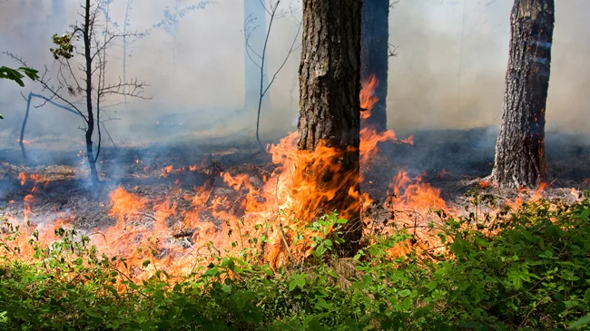 В Україні оголосили надзвичайний рівень небезпеки. Які області у списку