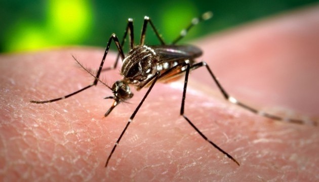 В Україні зафіксували першу смерть від небезпечної хвороби, яка передається через укуси комарів