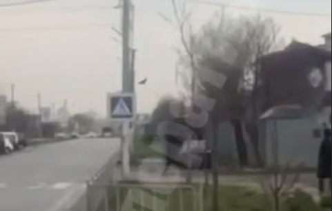 Момент удару по ветеренарній кліниці на Київщині: ВІДЕО