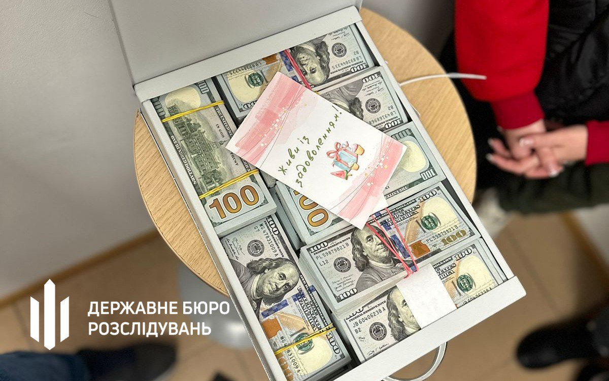 Суд у Києві арештував депутатку Хмельницької міськради, у якої раніше знайшли незадекларовані 1,5 млн доларів