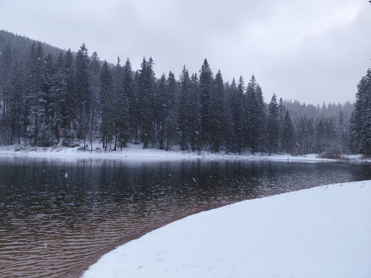 Націоналиний парк на Закарпатті засипало снігом (ФОТО)