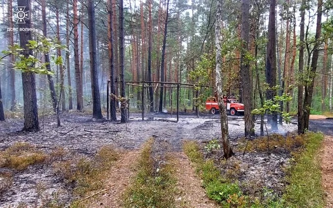 Поблизу Луцька горів ліс: підозрюють підпал (фото)