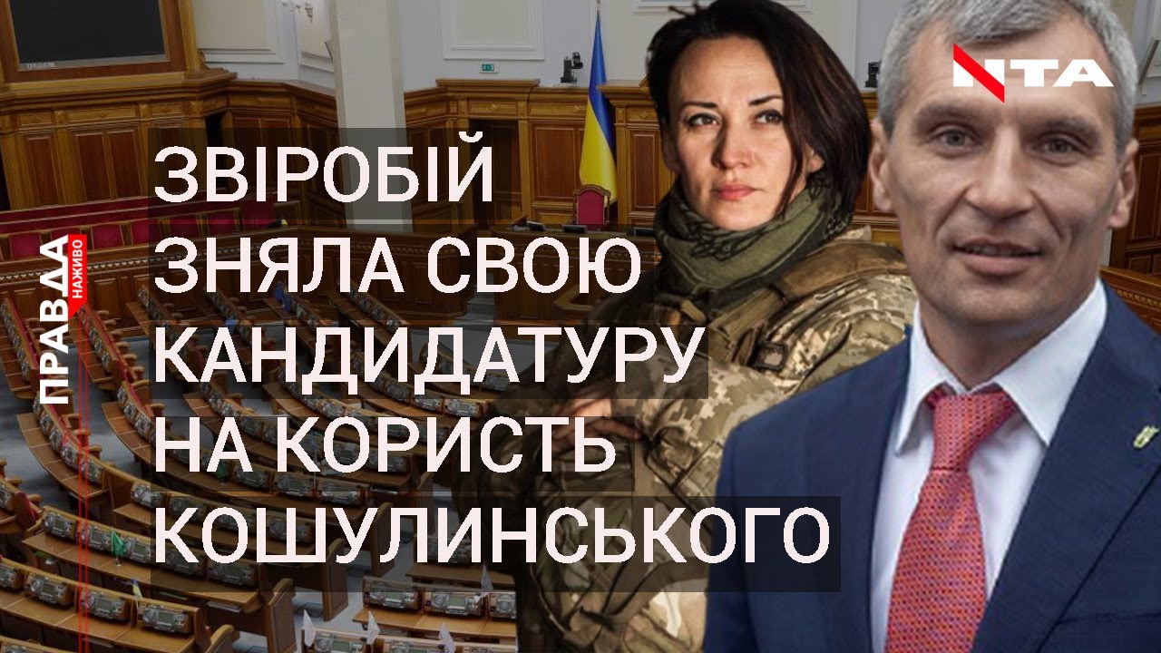 Об'єднатись, щоб побороти олігархат: Звіробій знялася на користь Кошулинського