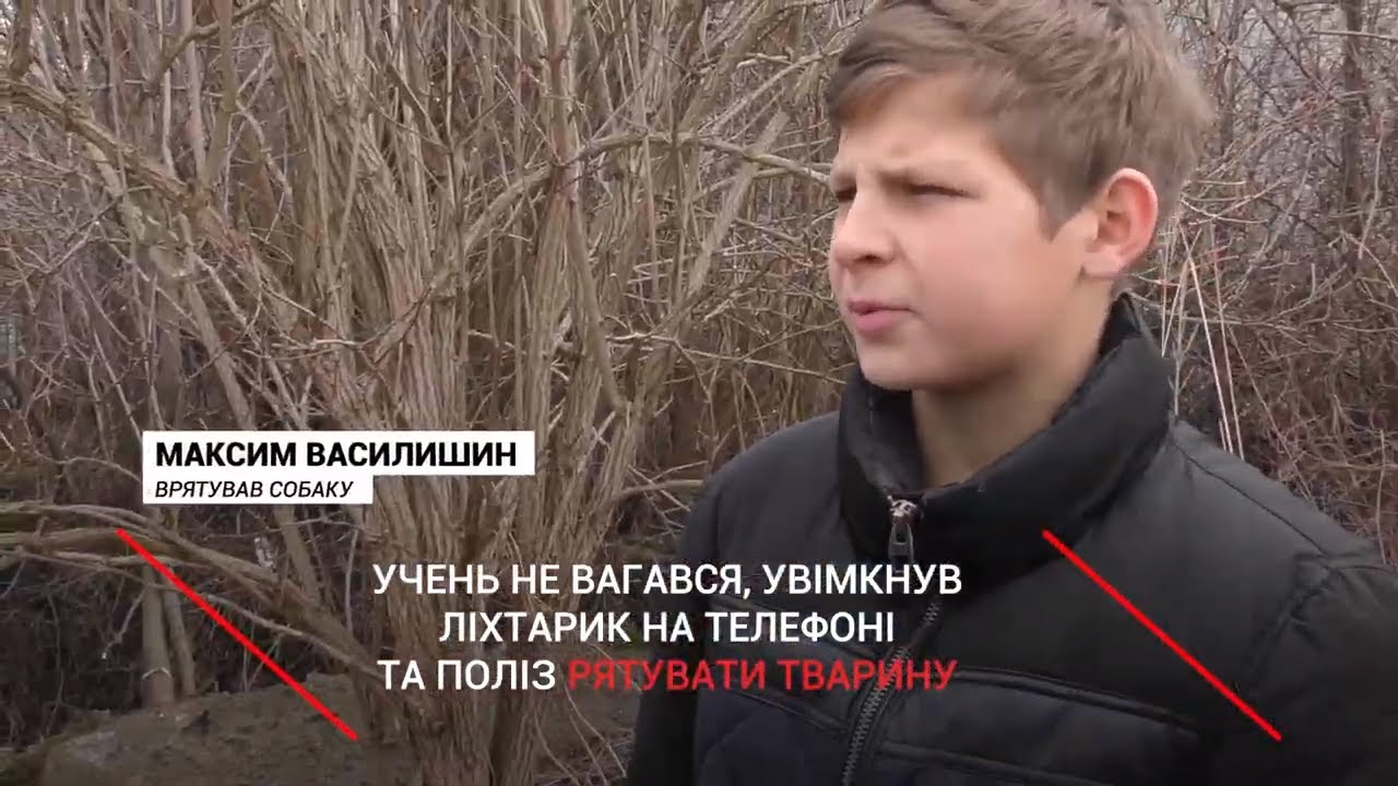 13-річний школяр, ризикуючи власним життям, врятував собаку