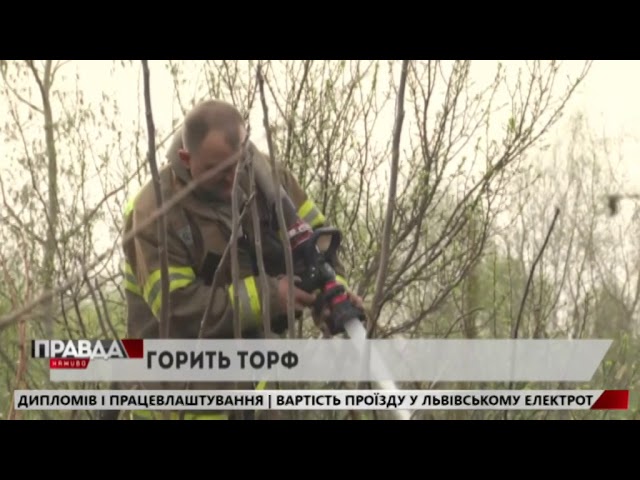 Поблизу Львова горів сухостій