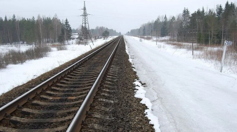 Загибель на залізниці: Біля Львова поїзд наїхав на чоловіка