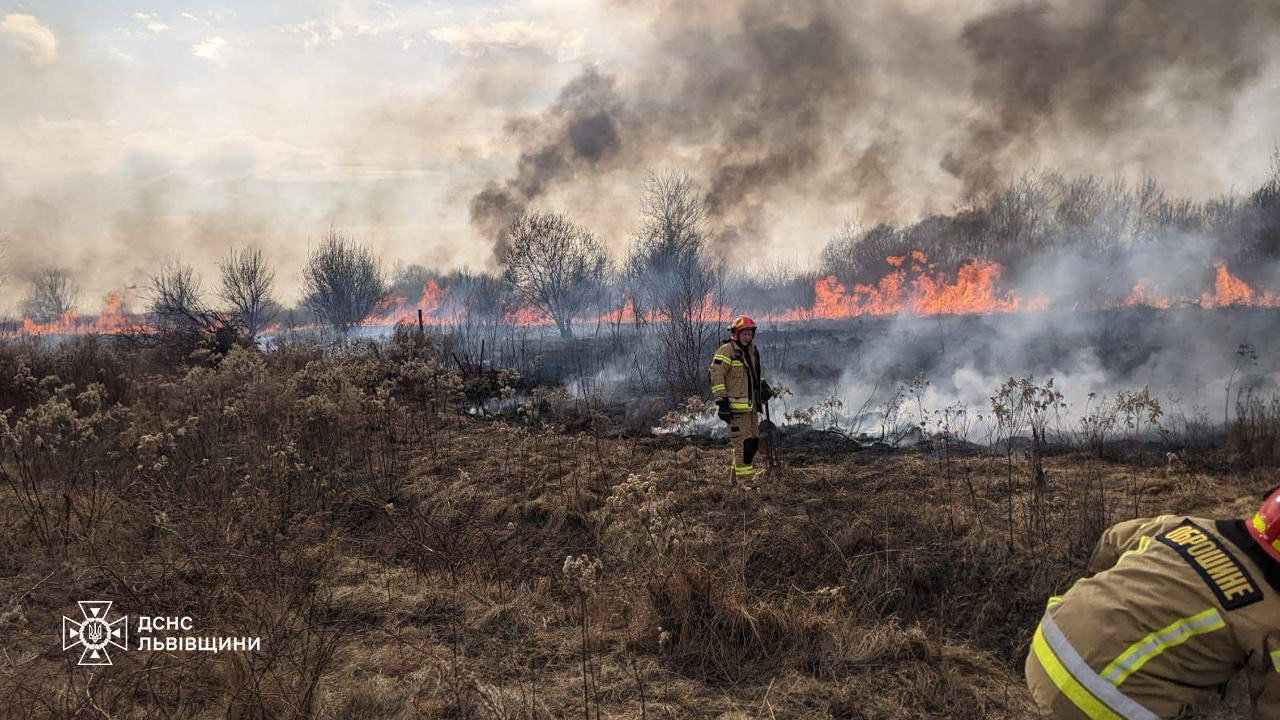 На Львівщині за добу сталося 189 пожеж в екосистемах: чоловік отримав опіки обличчя (фото)