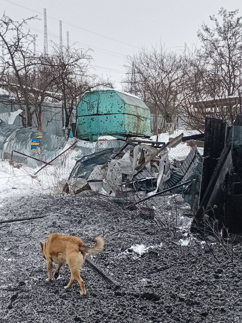 У Рівному внаслідок російської атаки постраждав притулок для собак