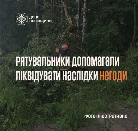 Буревій на Львівщині: під час негоди на дорогу впало дерево
