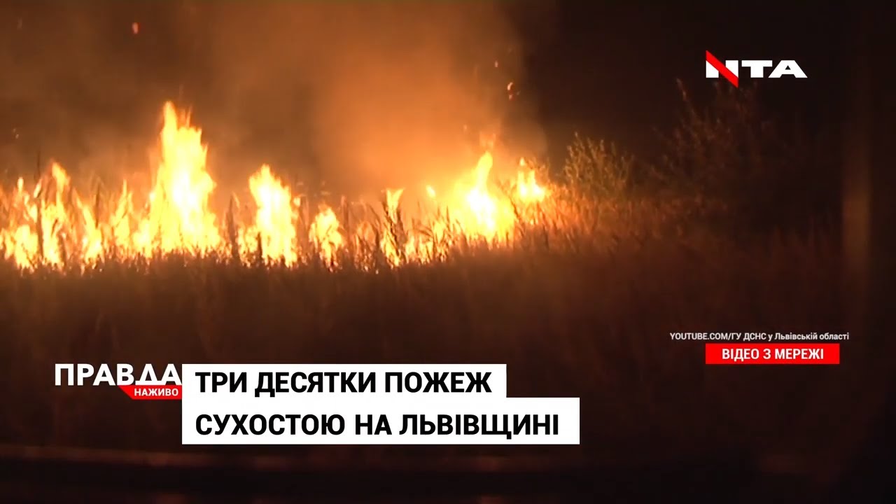 Українці спалюють свою країну: 2 га сухостою знищив вогонь лише на Львівщині