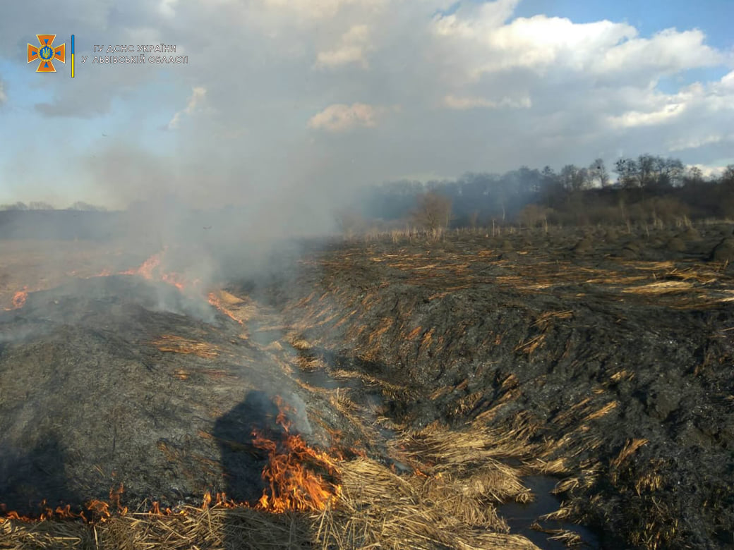 За добу через паліїв сухостою на Львівщині вигоріли 6 гектарів землі