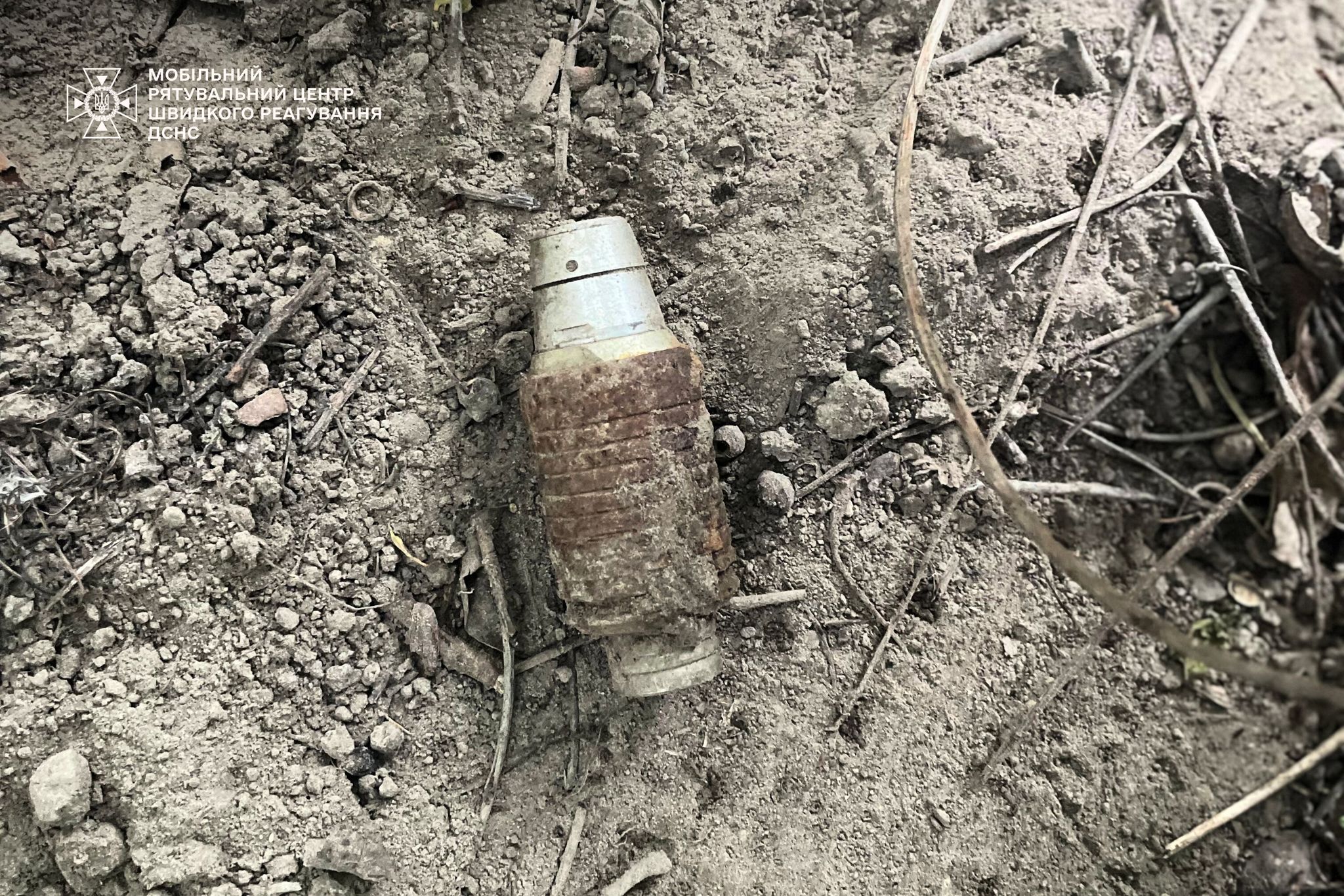На Київщині дитина під час прогулянки знайшла бойову гранату