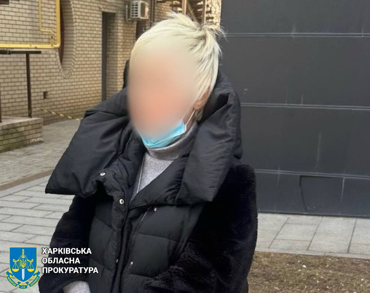 Львів’янка хотіла «купити» третю дитину, щоб отримати відстрочку для сина: жінку затримали у Харкові (фото)