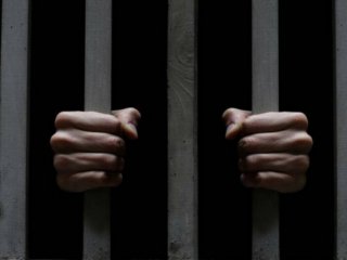 Штрафи та в'язниця за підроблені COVID-сертифікати. Уряд посилить відповідальність