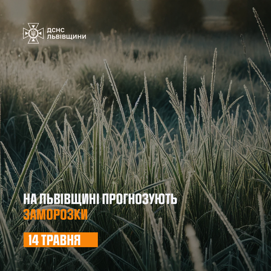 У Львові та області вночі та вранці 14 травня прогнозують заморозки