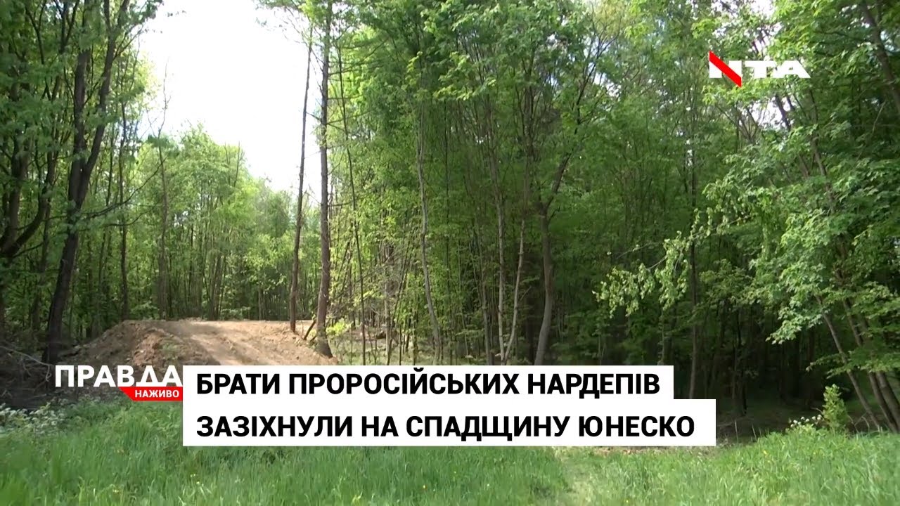 Родичі проросійських нардепів вирубують ліс