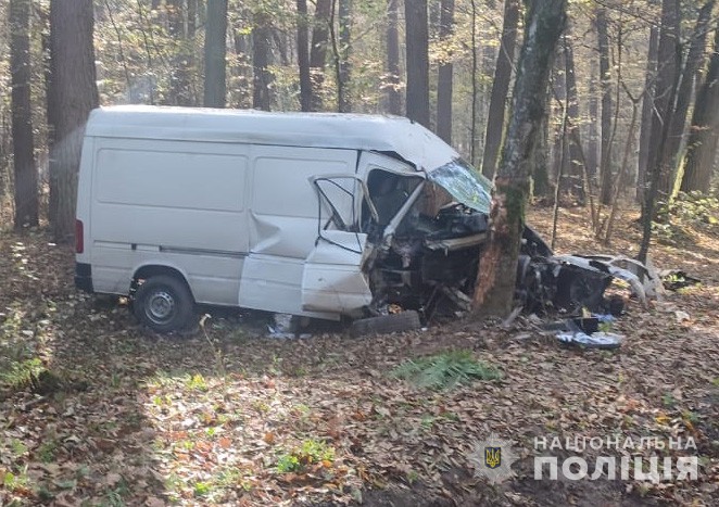 На Волині у ДТП загинуло немовля: автомобіль влетів у дерево