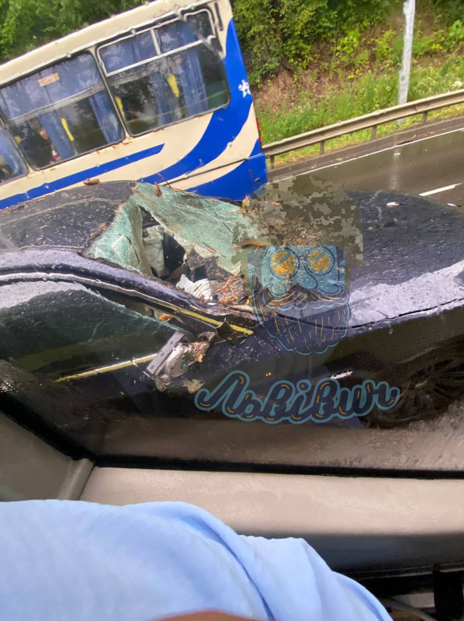 У Винниках дерево впало на авто під час негоди: інформація про постраждалих уточнюється