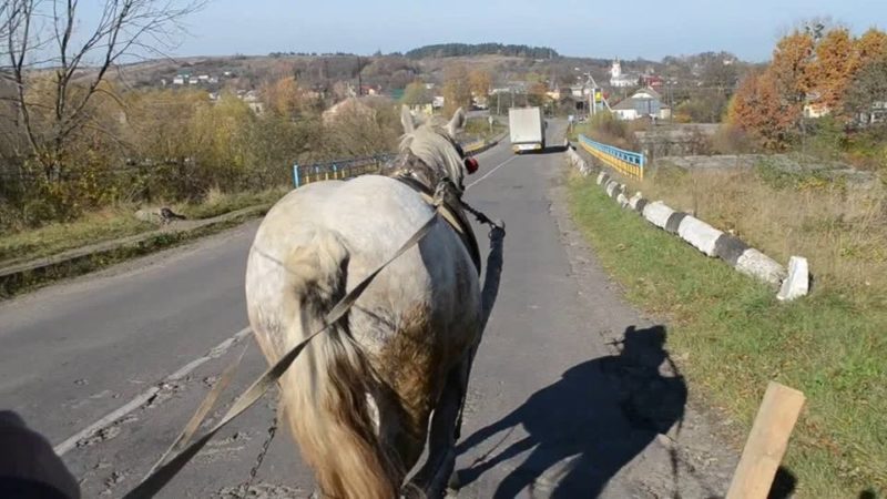 На Львівщині легковик зіткнувся з возом: є постріждалі