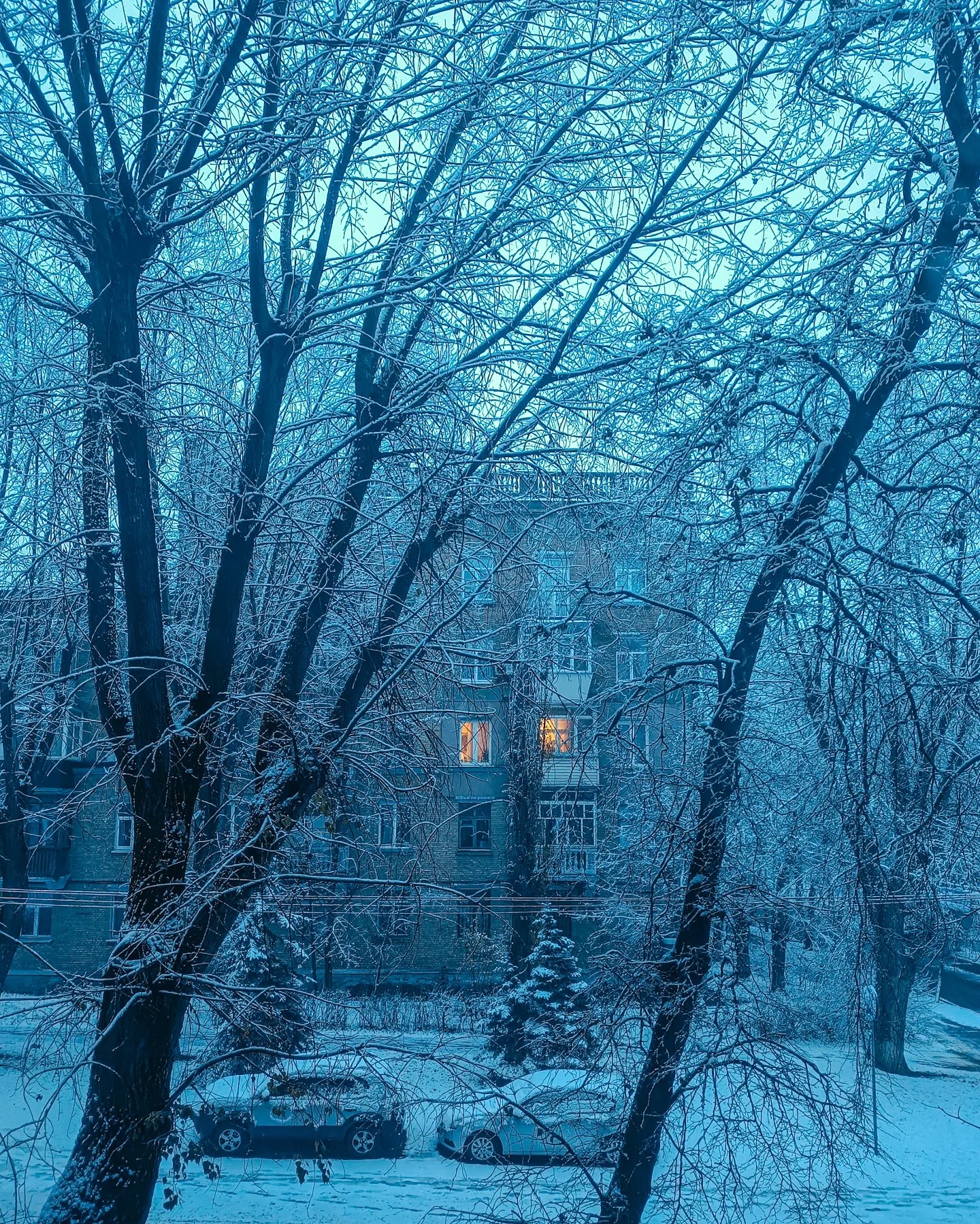 Карпати засипало снігом: з'явилися фото