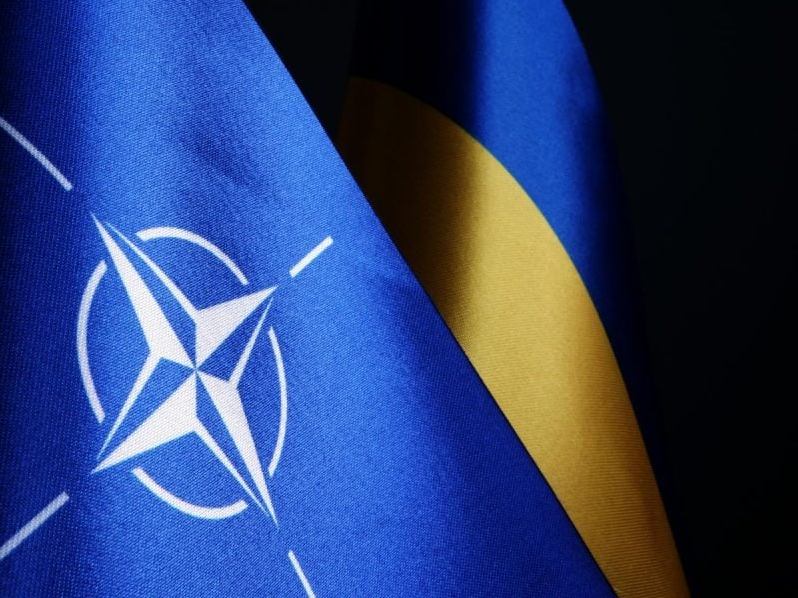 Грибаускайте, Джонсон, Клінтон та інші: склад робочої групи щодо інтеграції України в НАТО