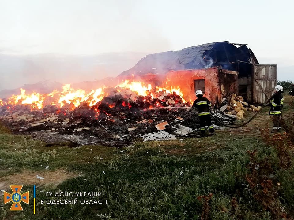 Врятували 30 тонн зерна: на Одещині кілька годин гасили споруду із цьогорічним урожаєм