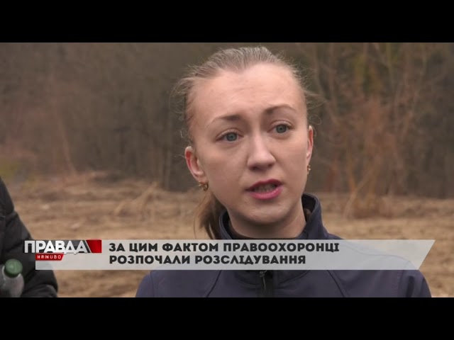 Старознесенський цвинтар під загрозою затоплення