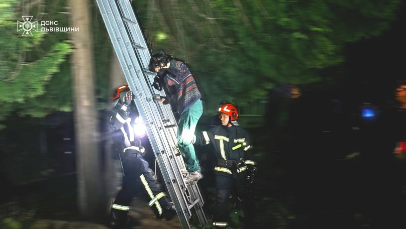У Львові рятувальники знімали з 4-метрового дерева жінку, яка полізла рятувати кота