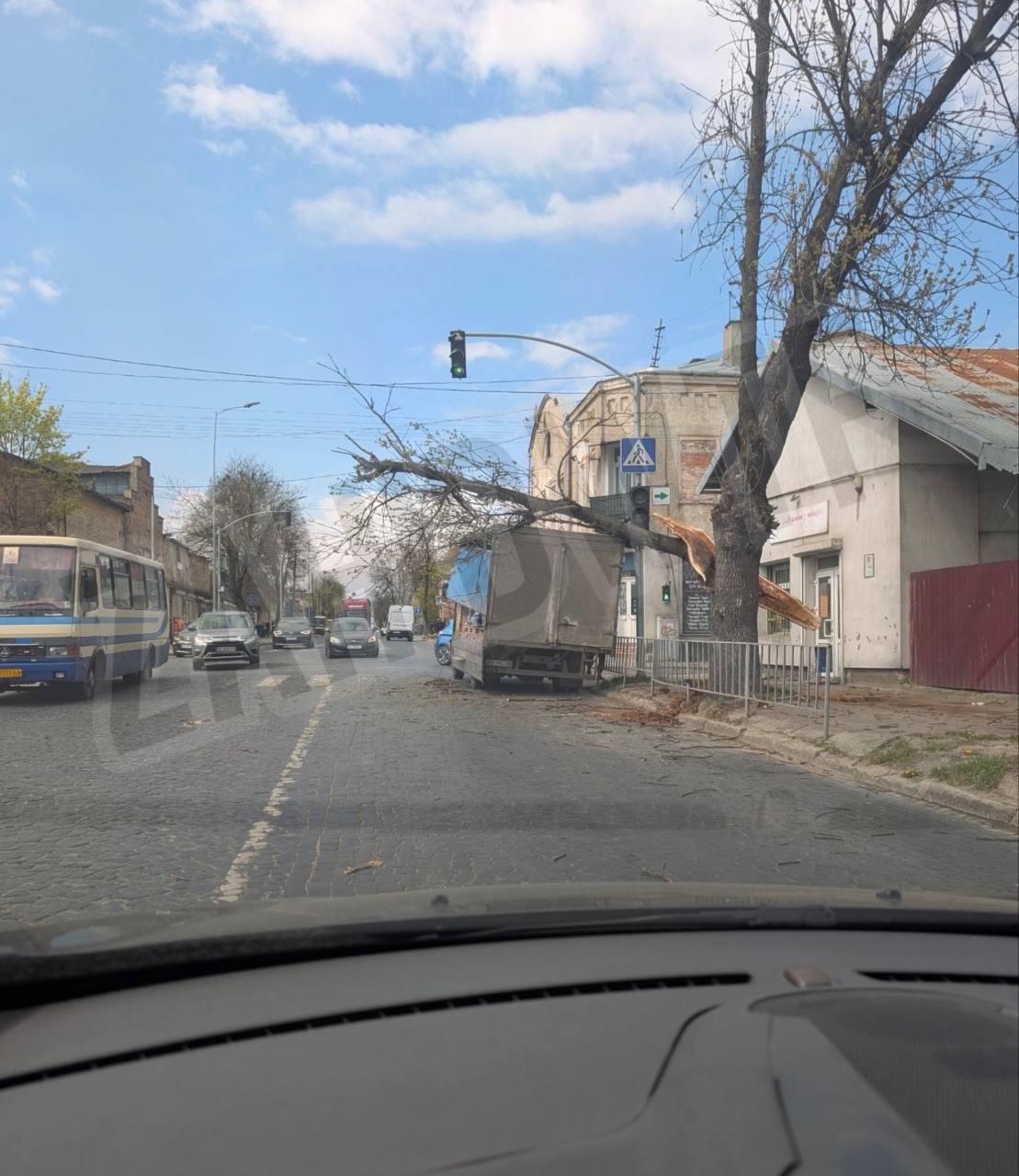 У Львові дерево впало на вантажівку