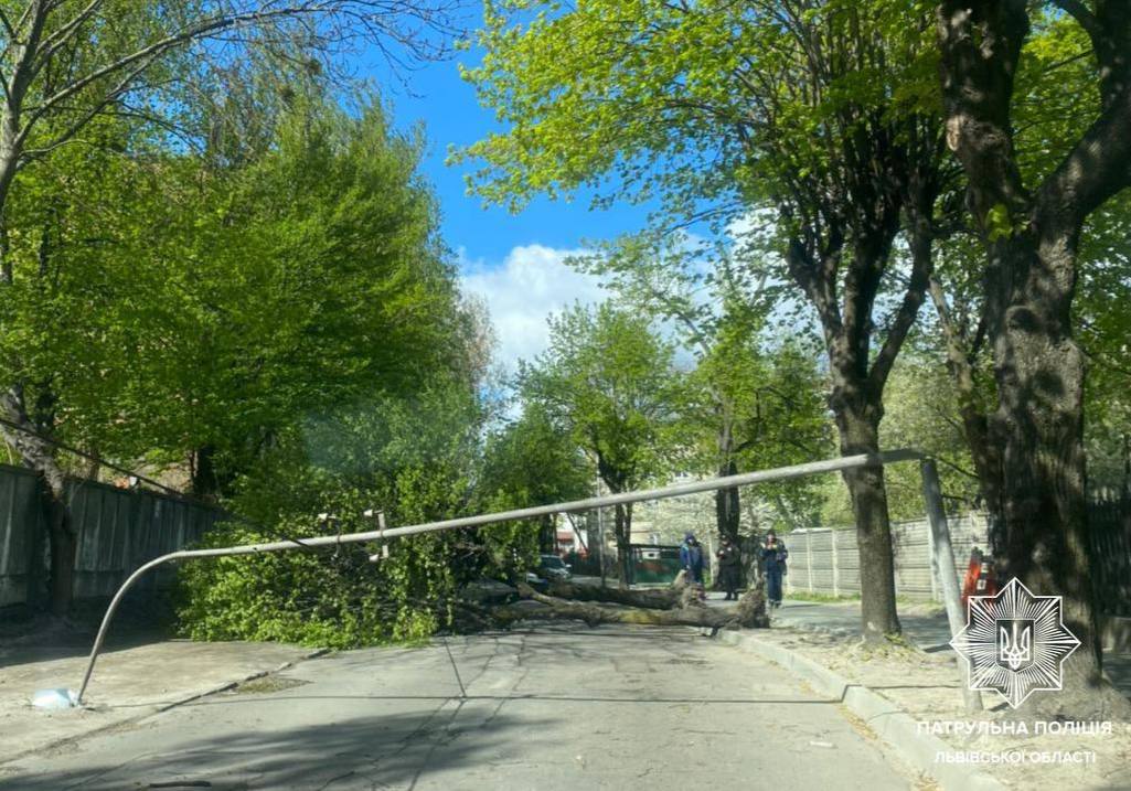 У Львові впали дерева та опора електропередач: рух ускладнений