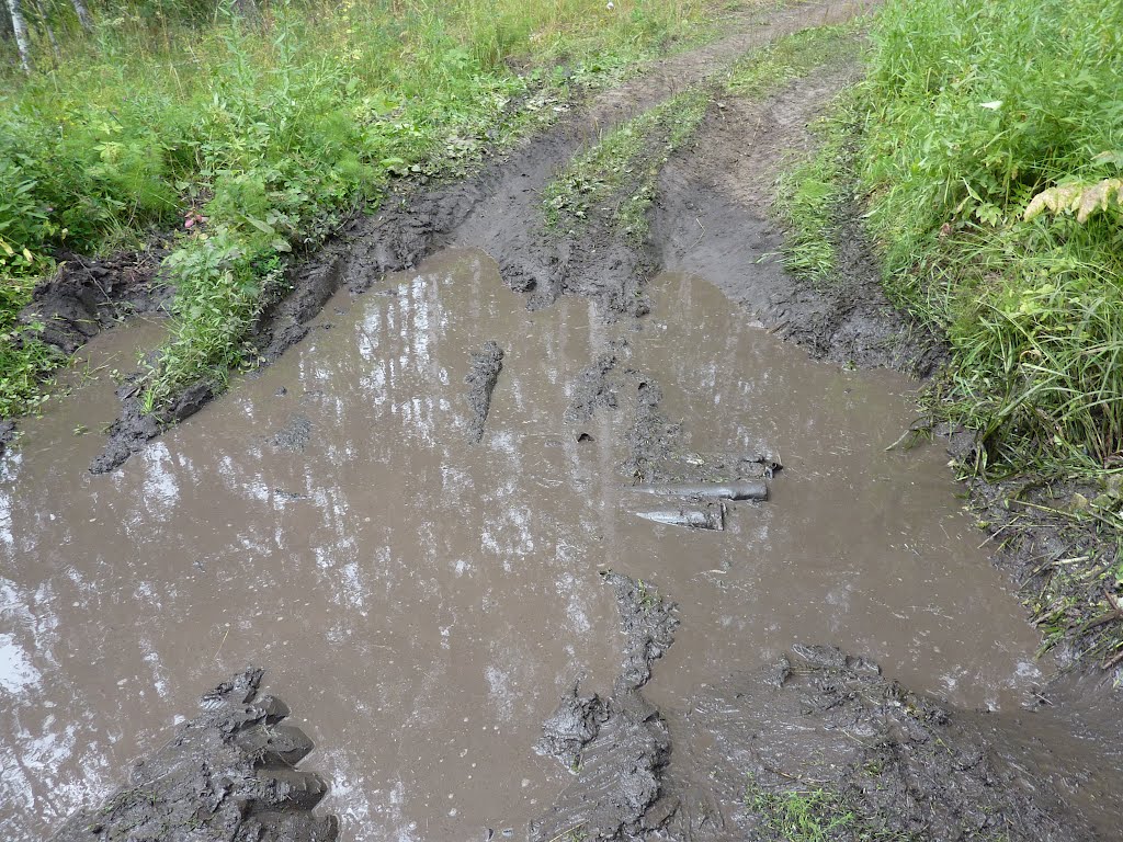 Рядові п'ють воду із калюжі, а командири - у запої. Росіянин про військові "будні"
