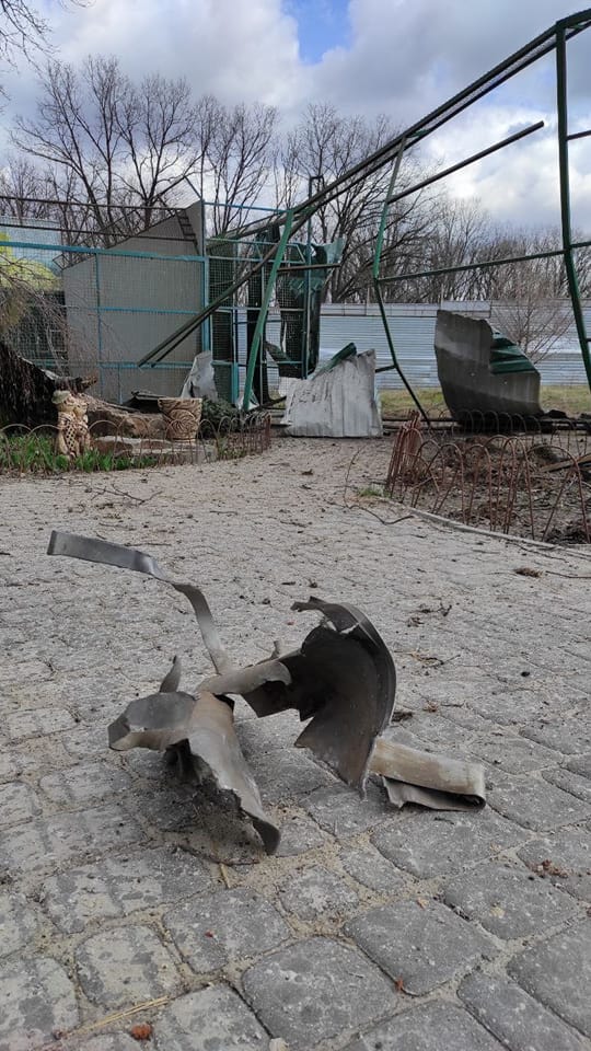 У Харкові загинув 15-річний волонтер, який допомагав евакуйовувати тварин з Екопарку