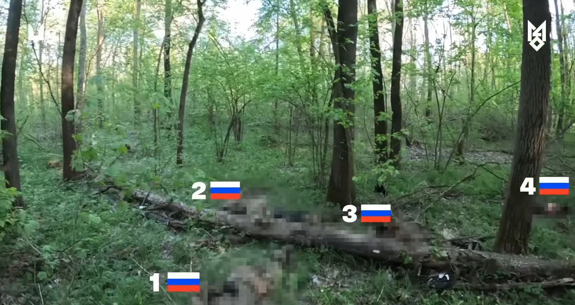 Українські спецпризначенці знищили штурмову групу росіян у ворожому тилу (відео)